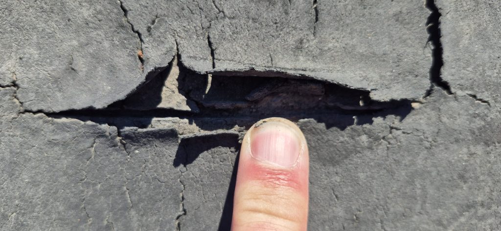 top 5 warning signs 1